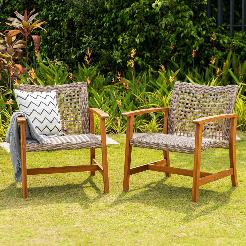 Millwood Pines Liberte Outdoor Lounge Chair & Reviews | Wayfair